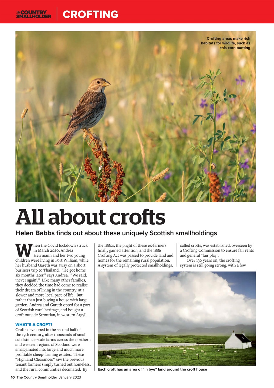 The Country Smallholder Preview Pages