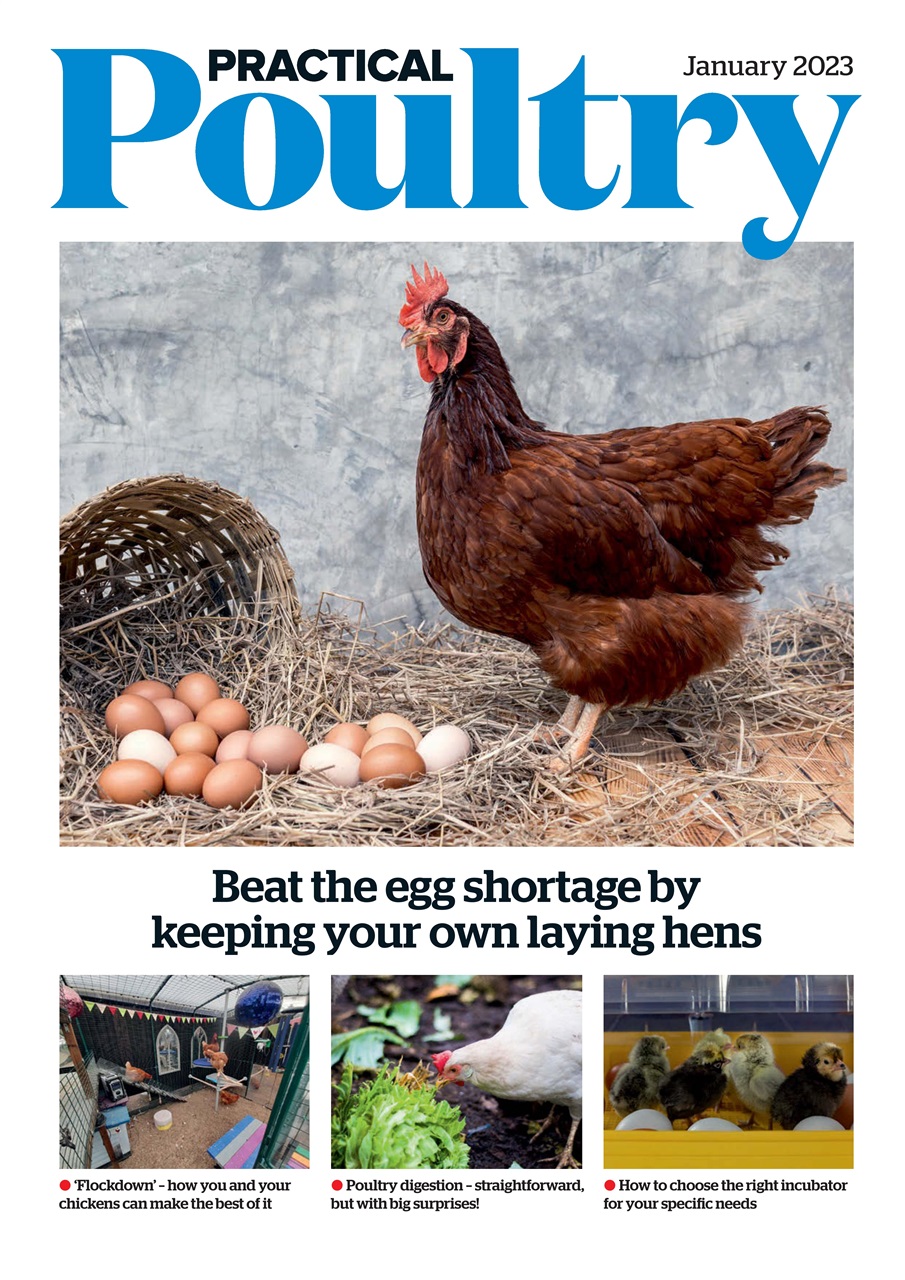 The Country Smallholder Preview Pages