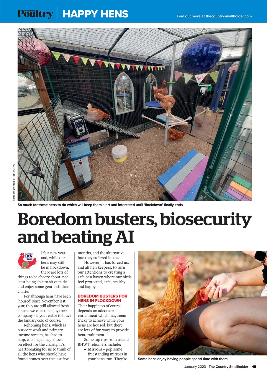 The Country Smallholder Preview Pages