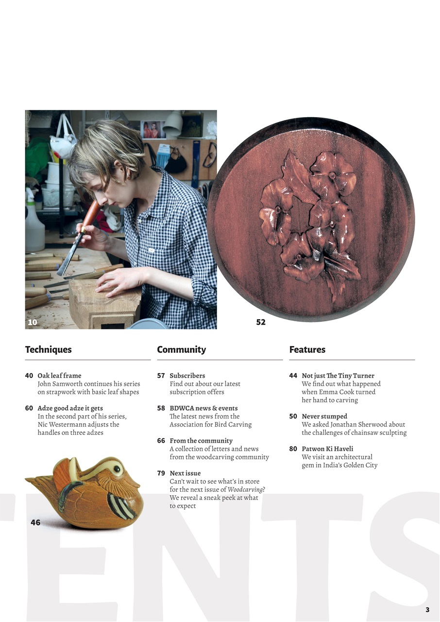 Woodcarving Preview Pages