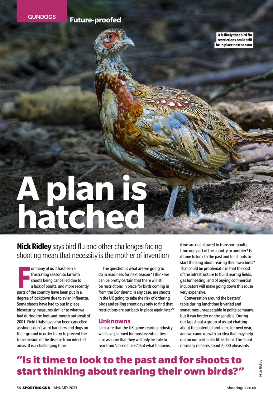 Sporting Gun Preview Pages