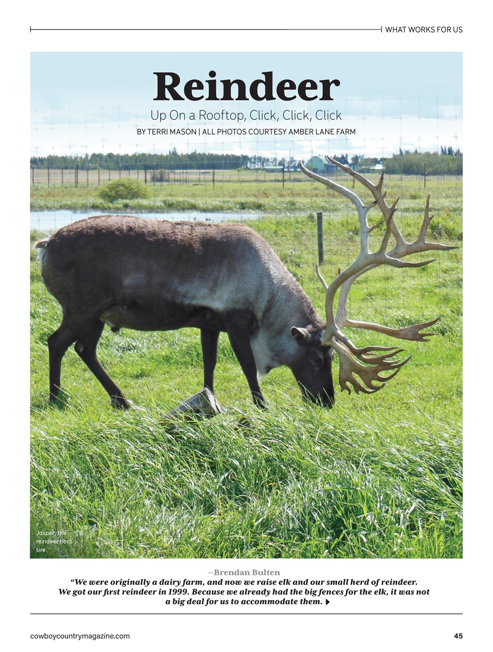 Canadian Cowboy Country Preview Pages