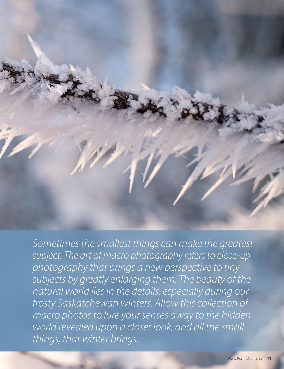 Prairies North Magazine Preview Pages