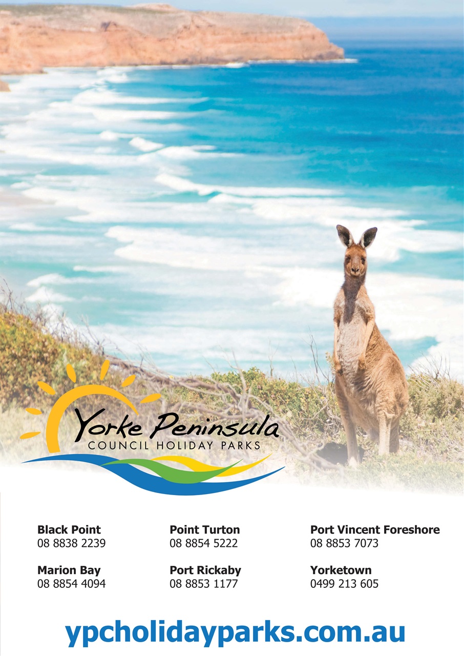 Fishing SA Preview Pages