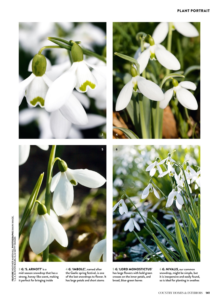 Country Homes & Interiors Preview Pages