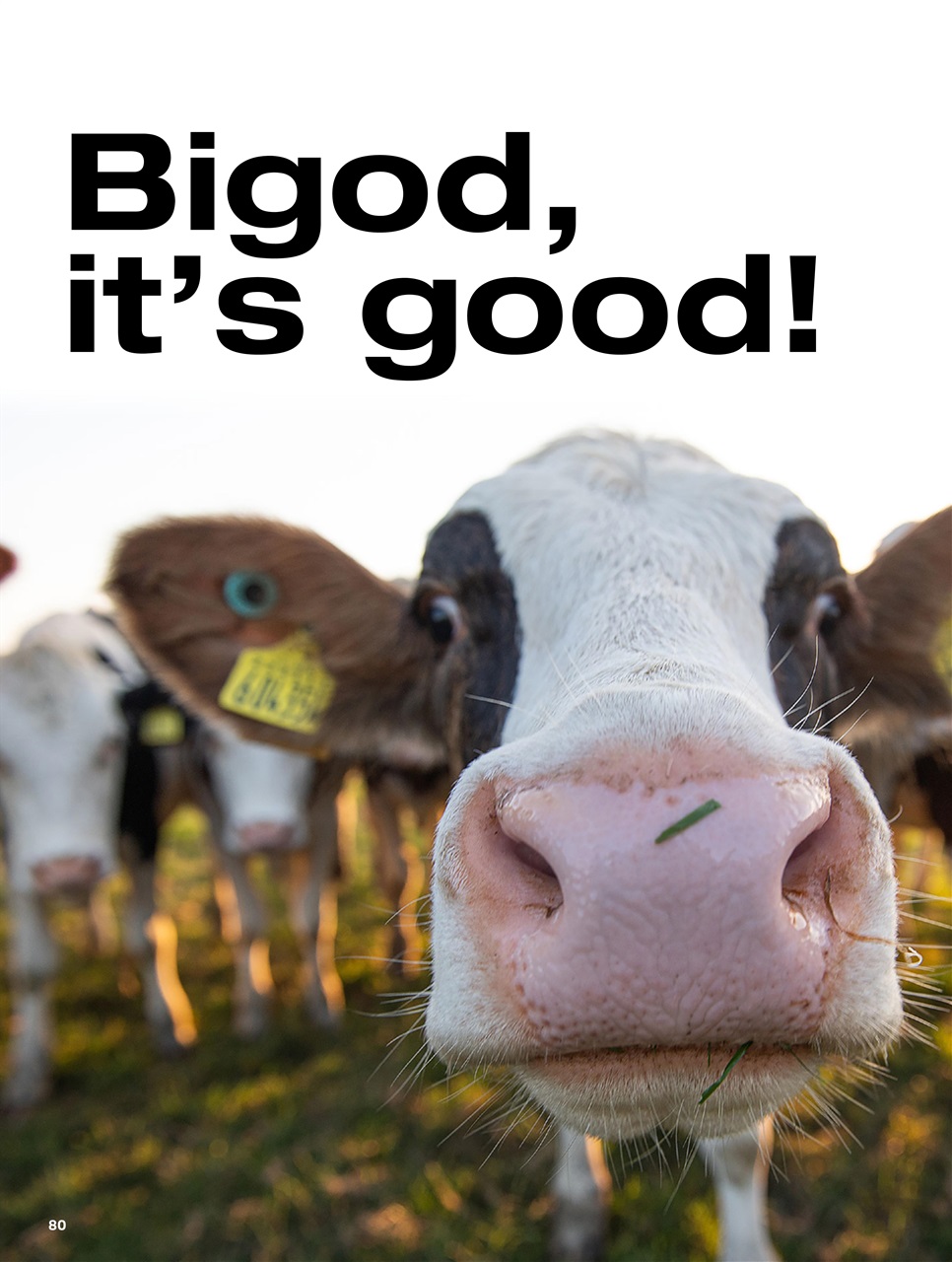 Chef & Restaurant Magazine Preview Pages