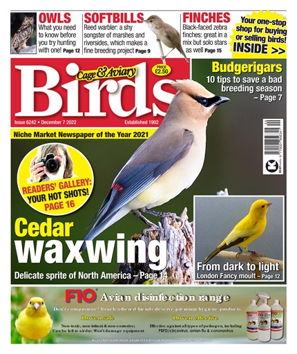 Cage & Aviary Birds issue 