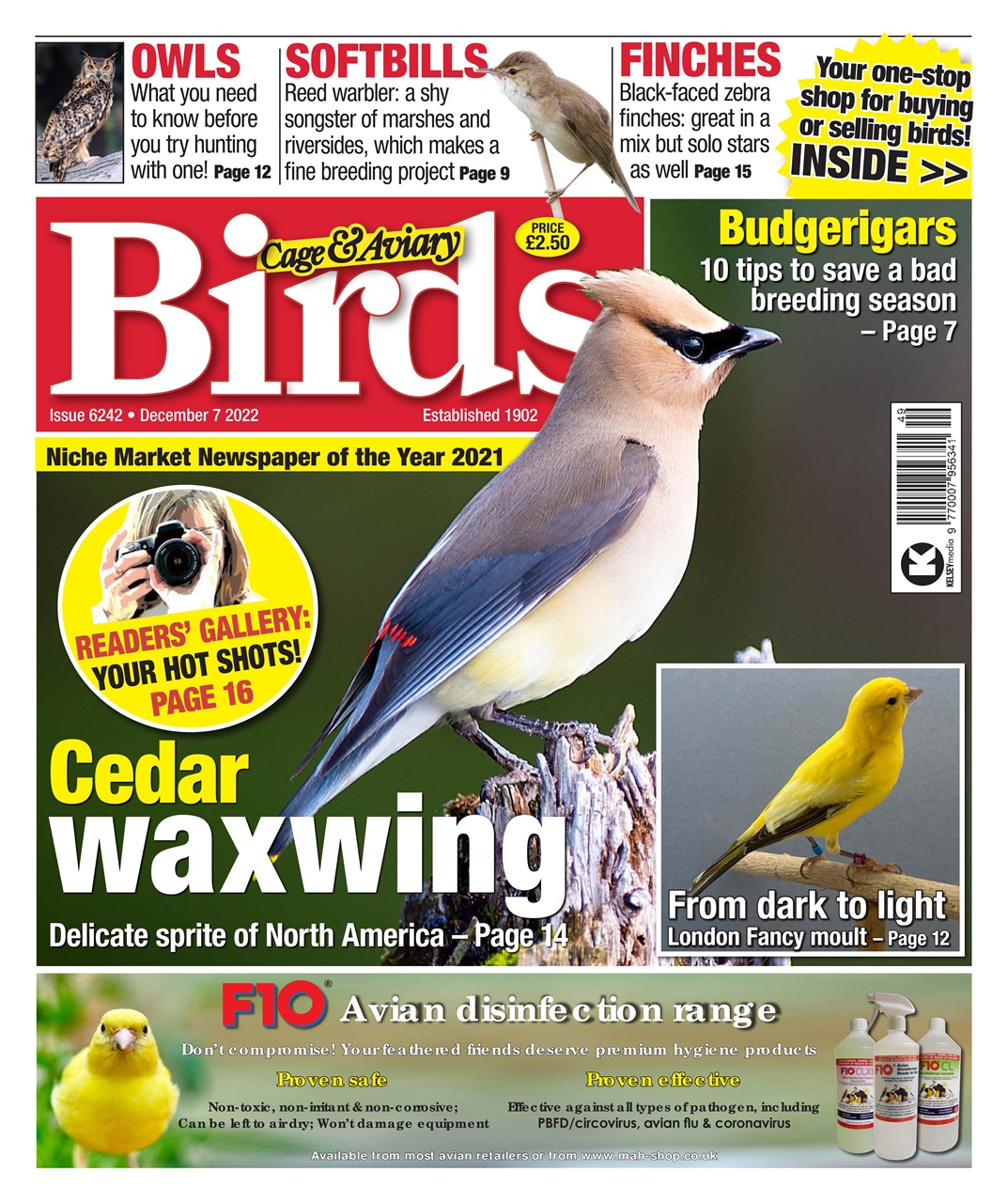 Cage & Aviary Birds Preview Pages