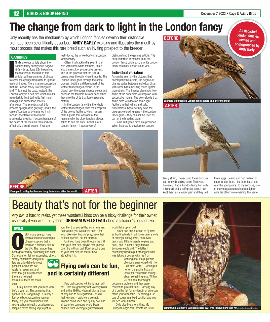 Cage & Aviary Birds Preview Pages