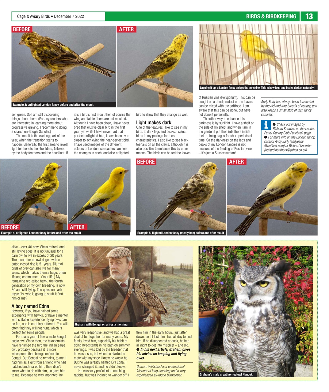 Cage & Aviary Birds Preview Pages
