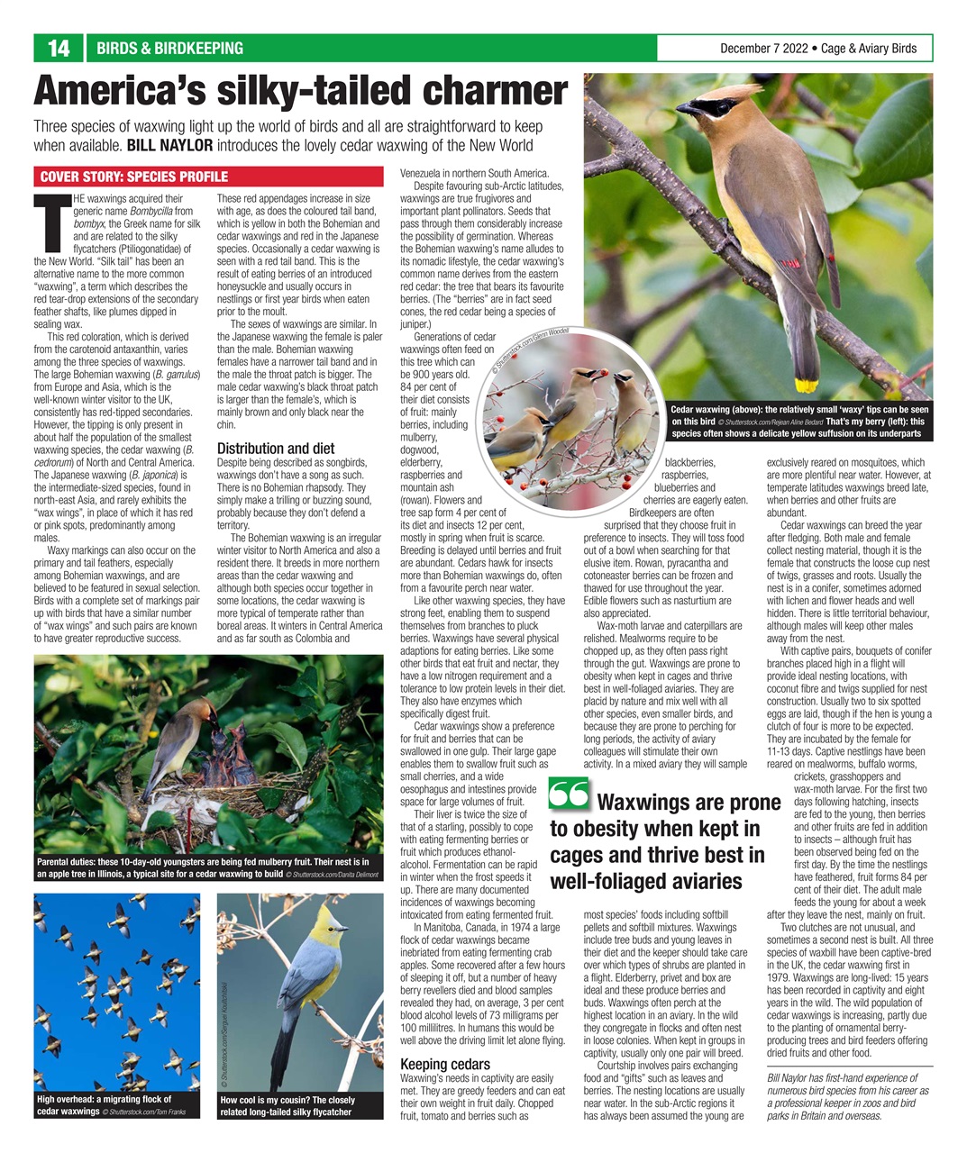 Cage & Aviary Birds Preview Pages