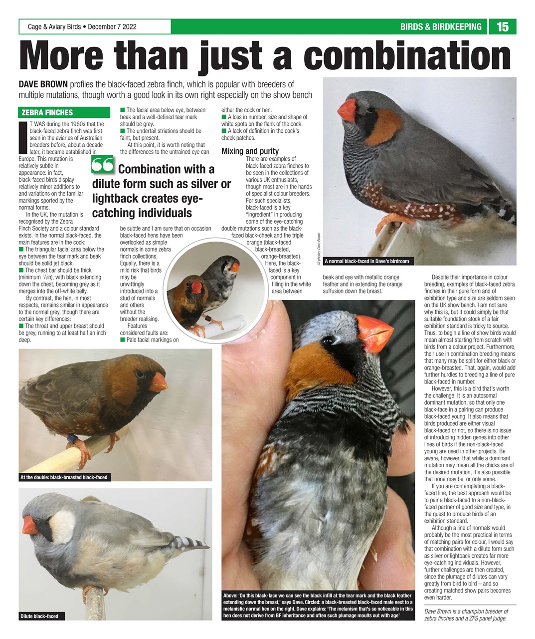 Cage & Aviary Birds Preview Pages