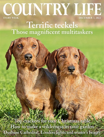 Country Life issue 7th December 2022