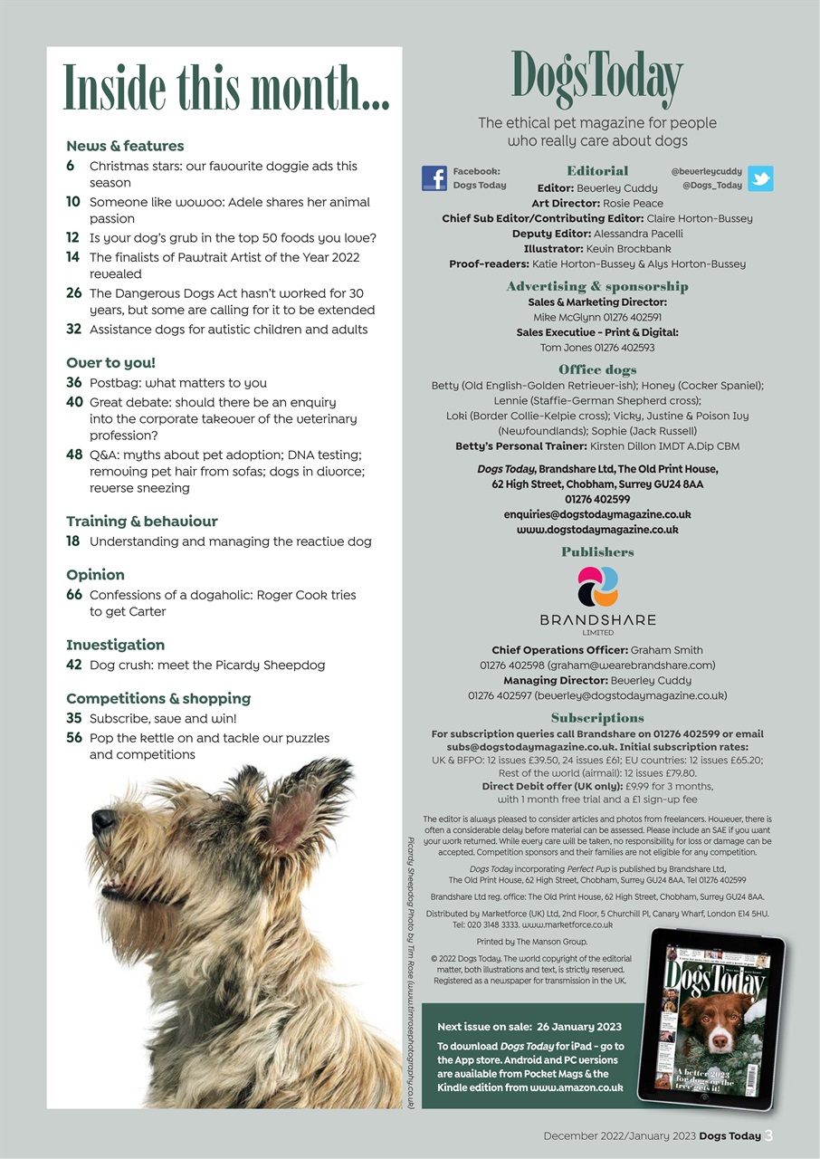 Dogs Today Magazine Preview Pages