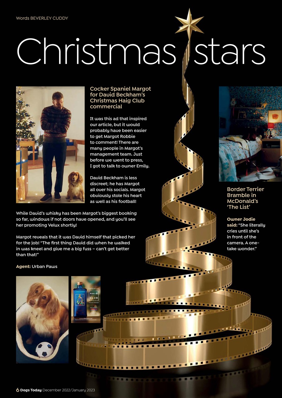 Dogs Today Magazine Preview Pages