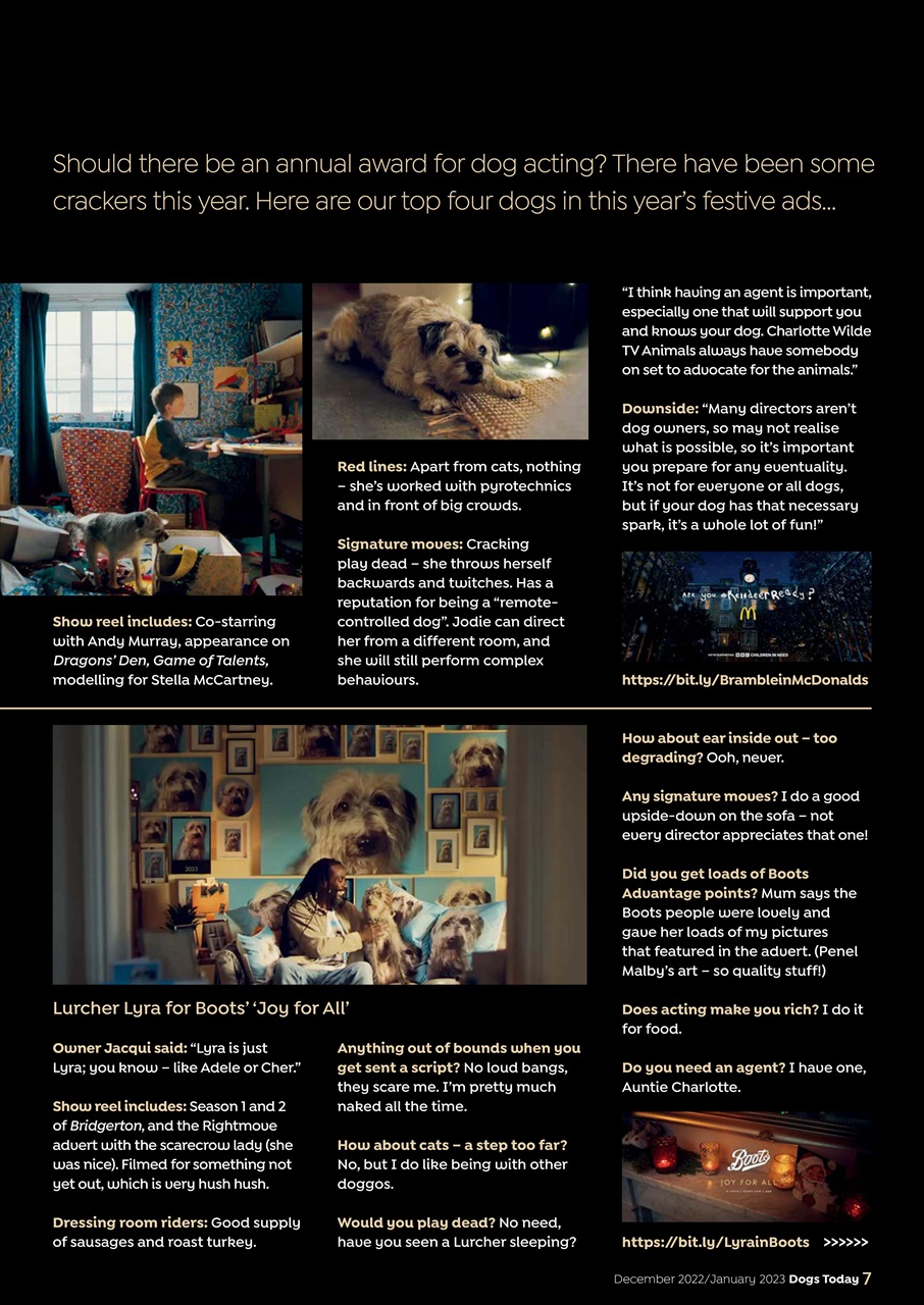 Dogs Today Magazine Preview Pages