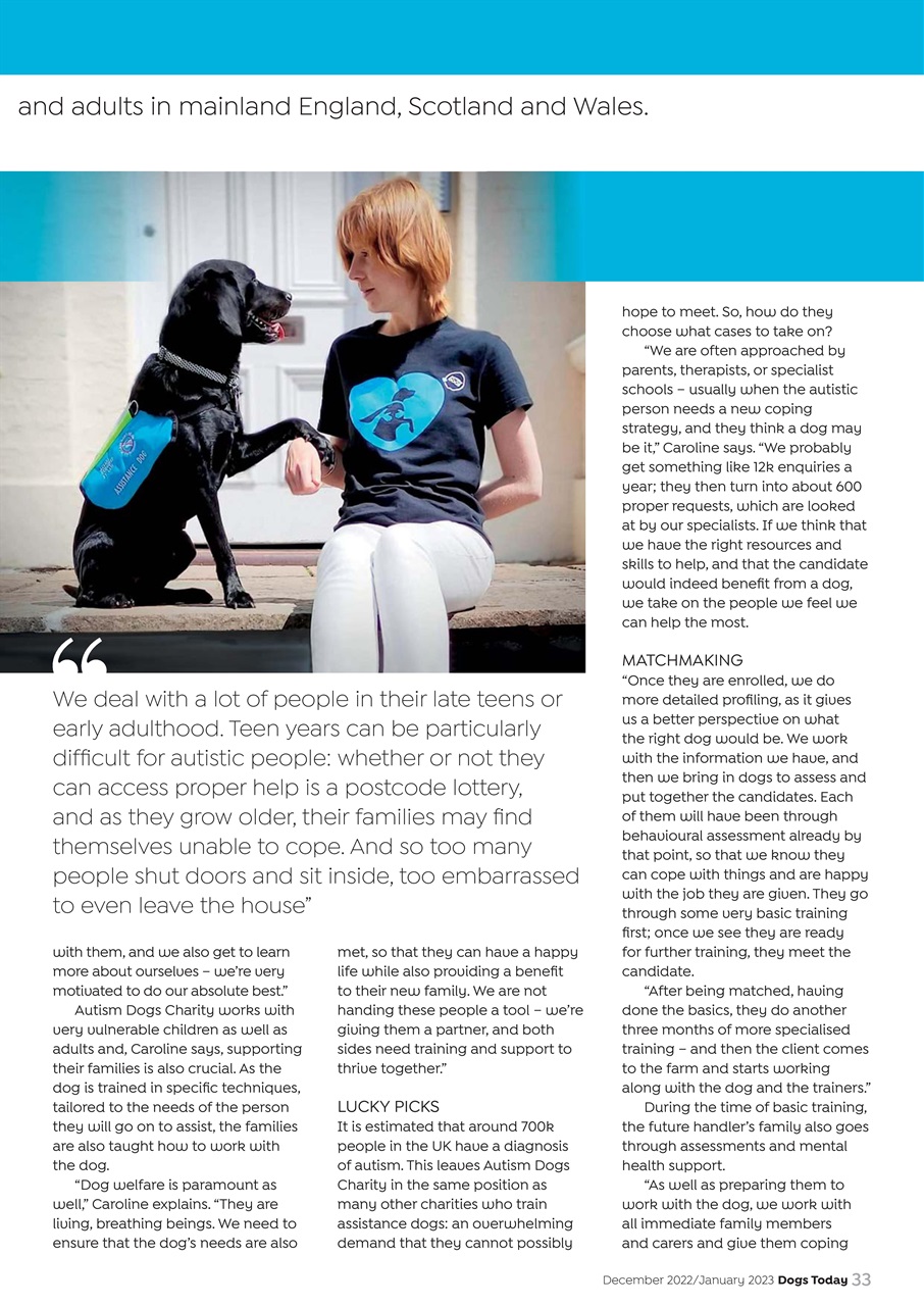 Dogs Today Magazine Preview Pages