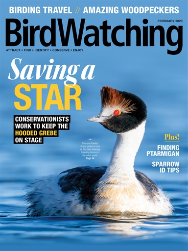 BirdWatching issue 