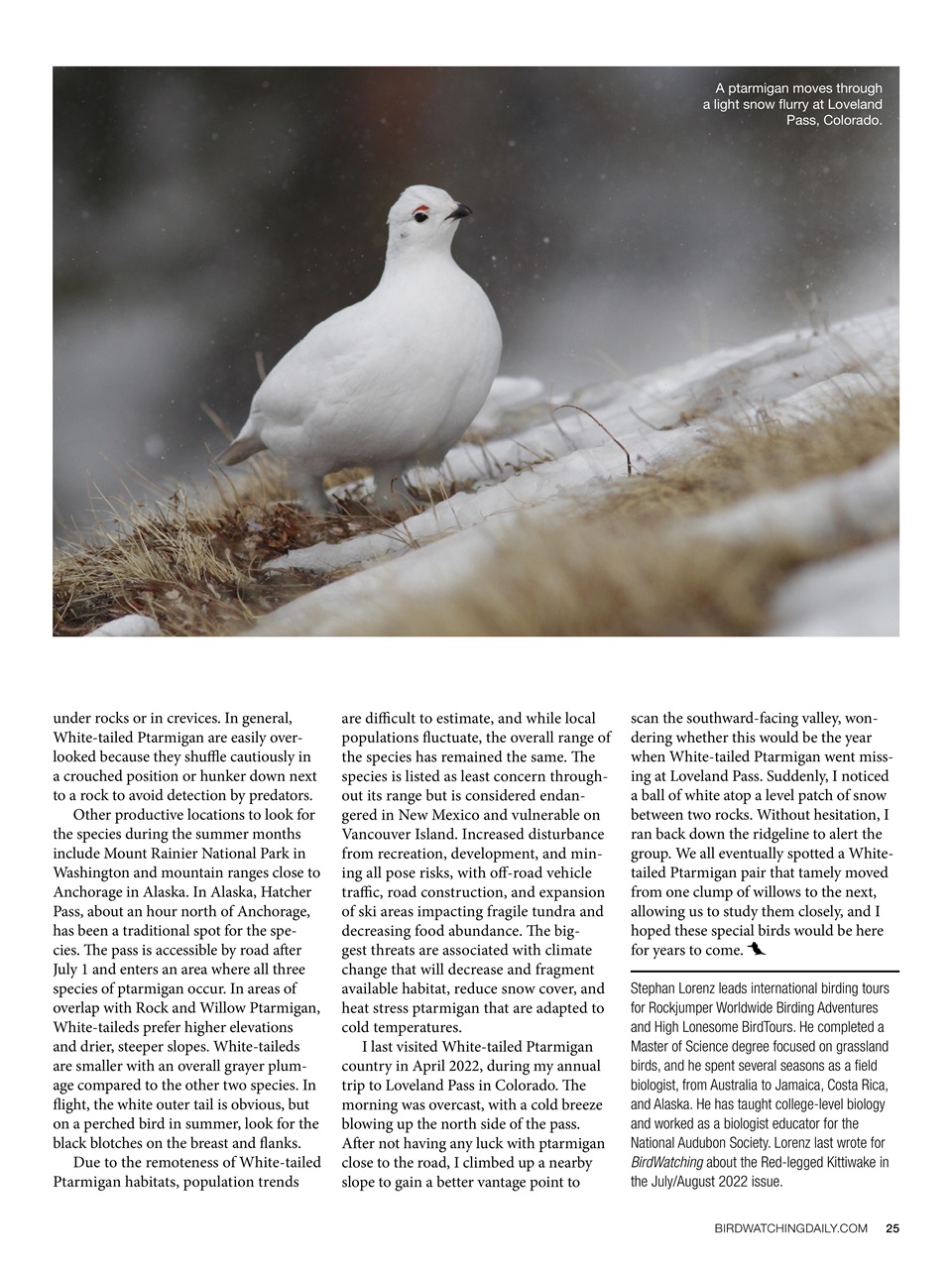 BirdWatching Preview Pages