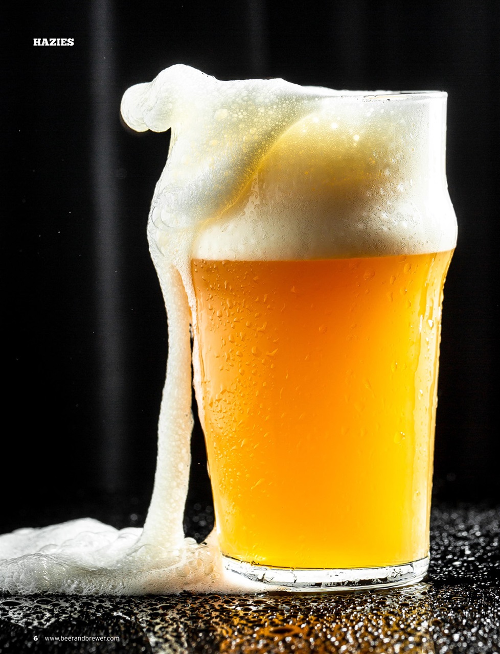 Beer and Brewer Preview Pages