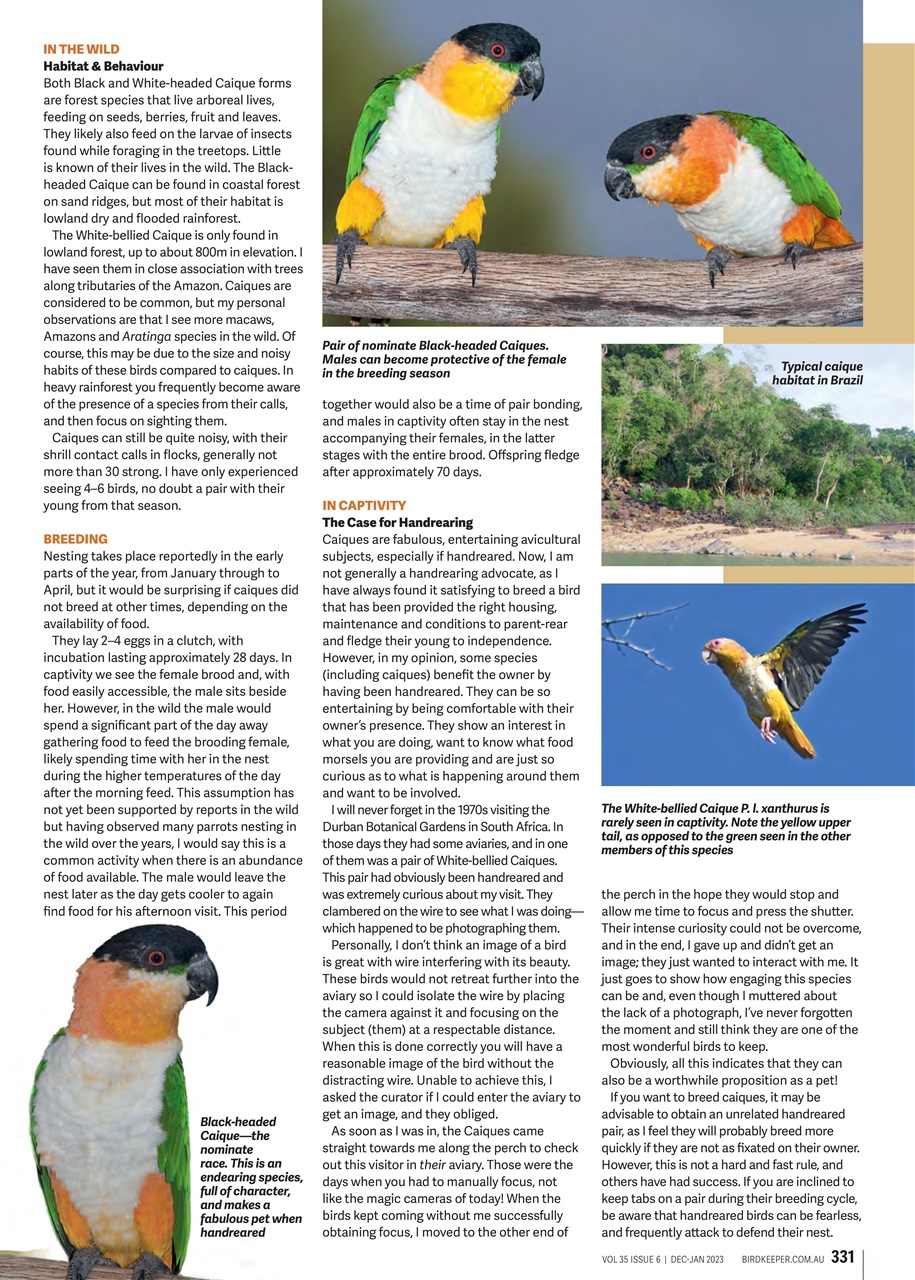 Australian Birdkeeper Magazine Preview Pages