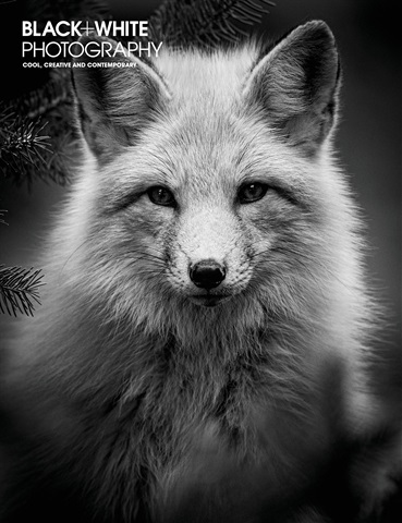 Black+White Photography issue Issue 273