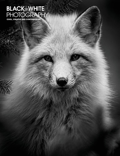 Black+White Photography issue 
