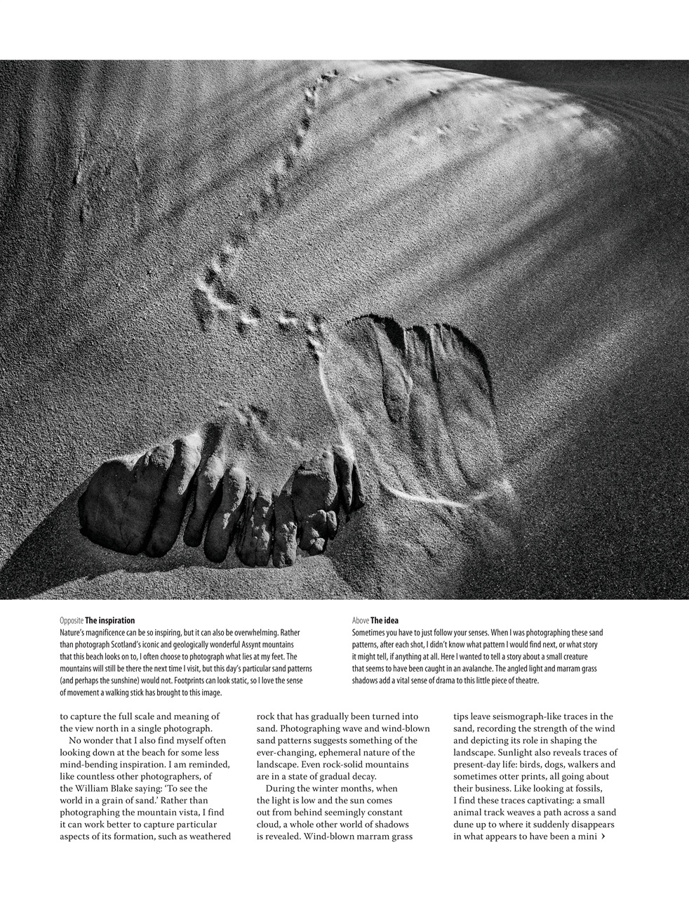 Black+White Photography Preview Pages