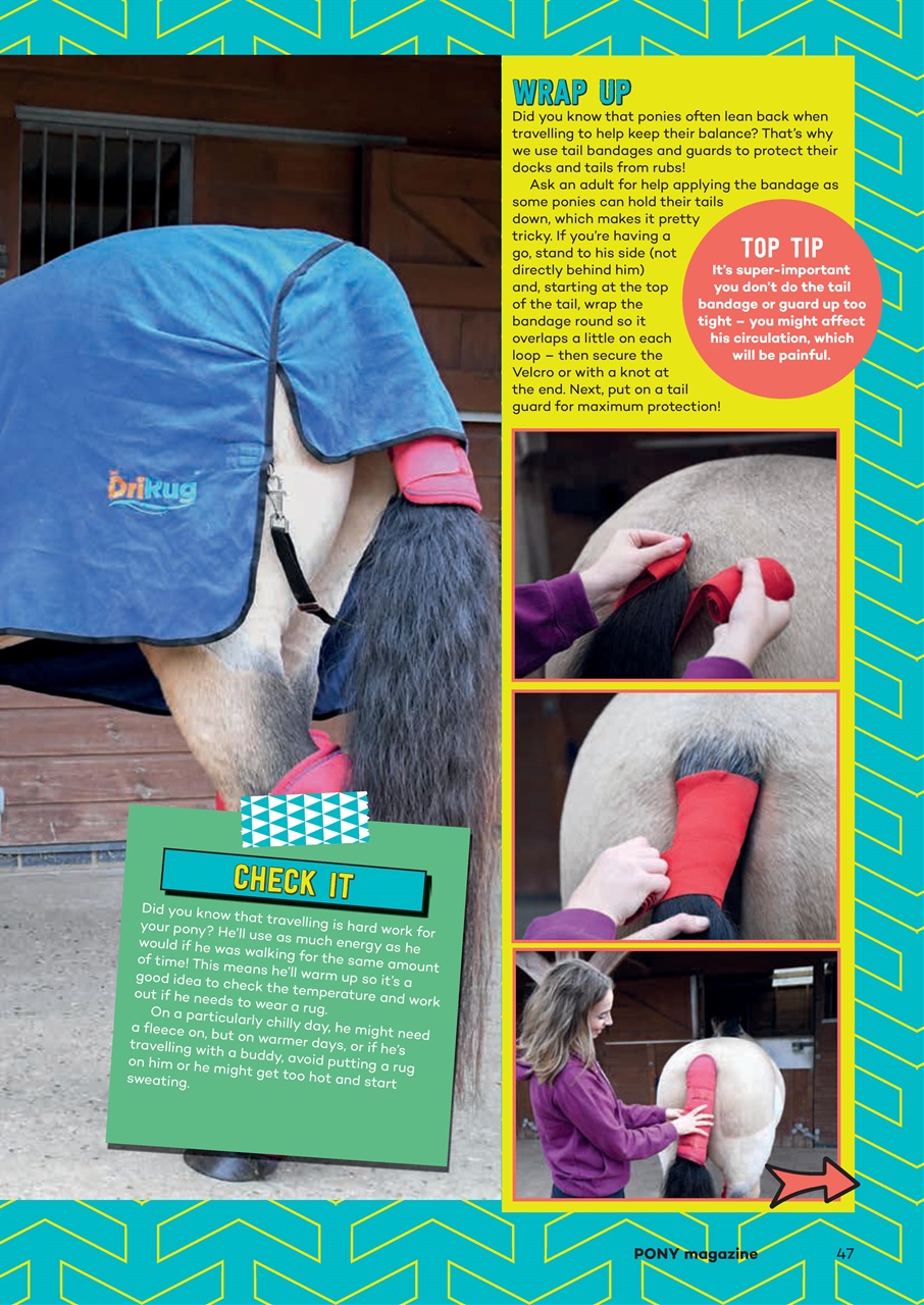Pony Magazine Preview Pages