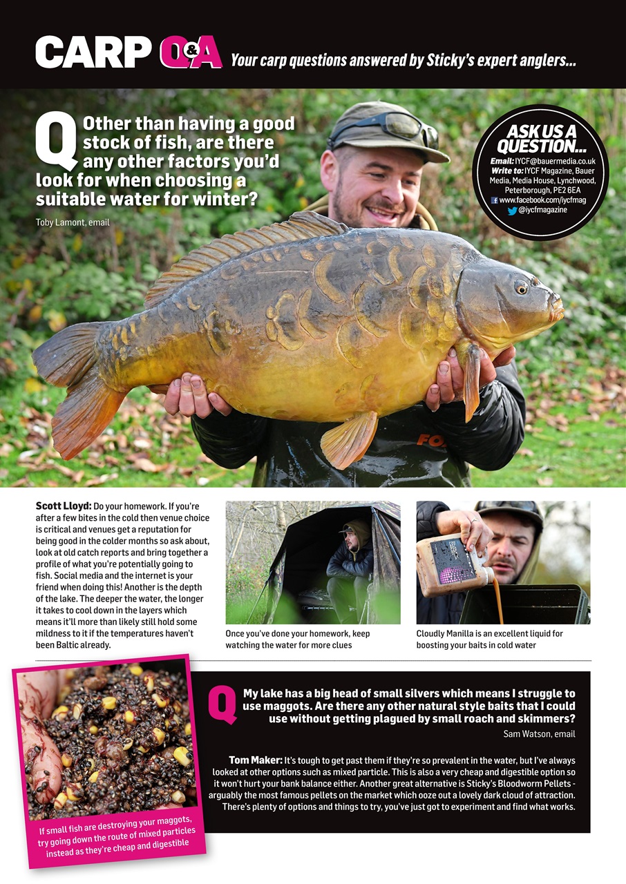 Improve Your Coarse Fishing Preview Pages