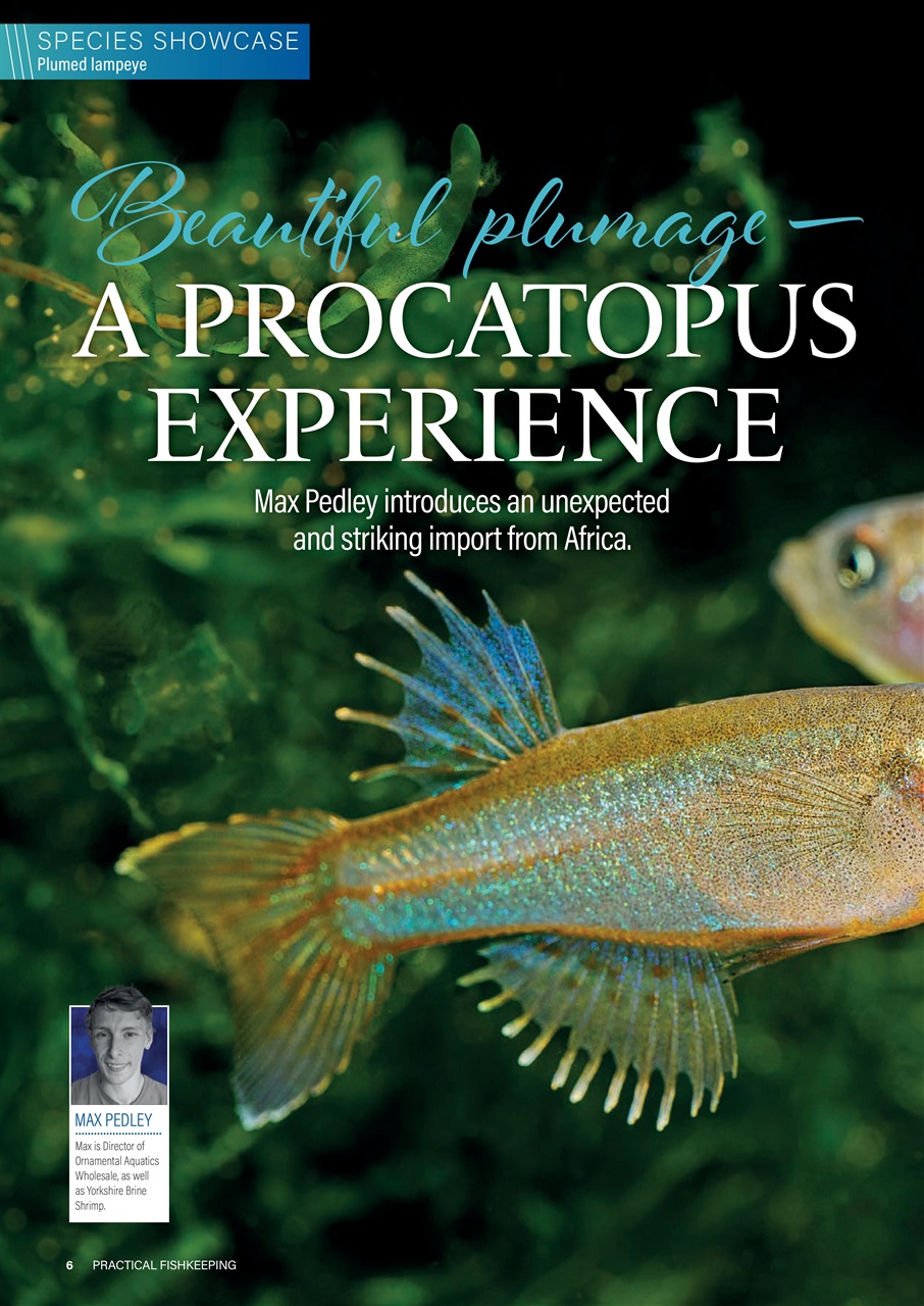 Practical Fishkeeping Preview Pages