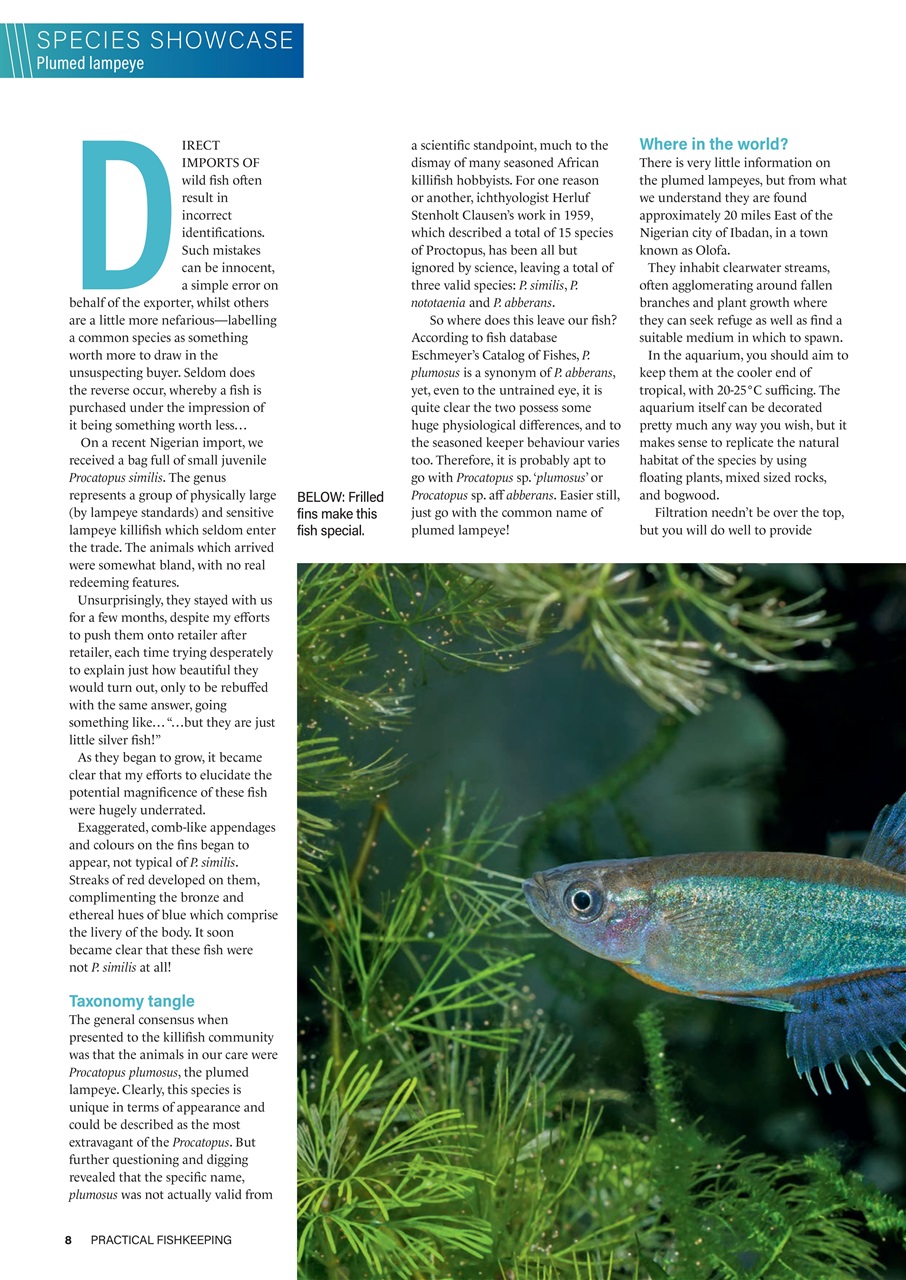 Practical Fishkeeping Preview Pages