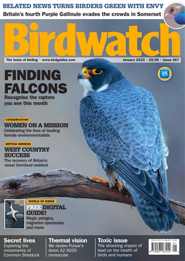 Birdwatch Magazine issue 