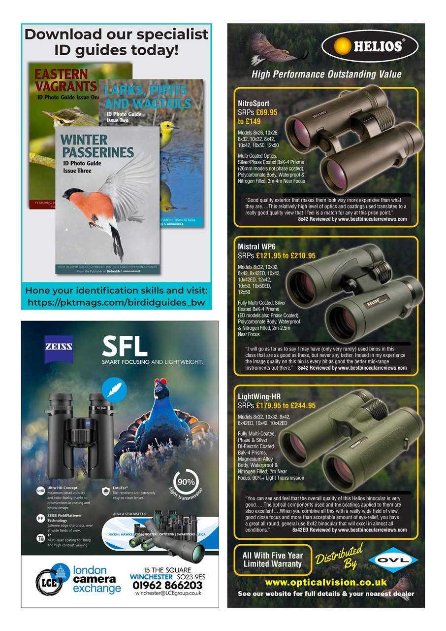 Birdwatch Magazine Preview Pages
