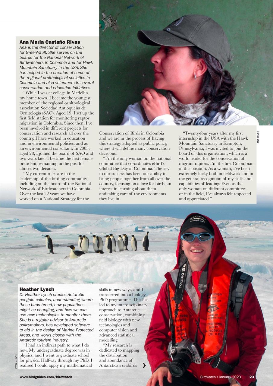 Birdwatch Magazine Preview Pages