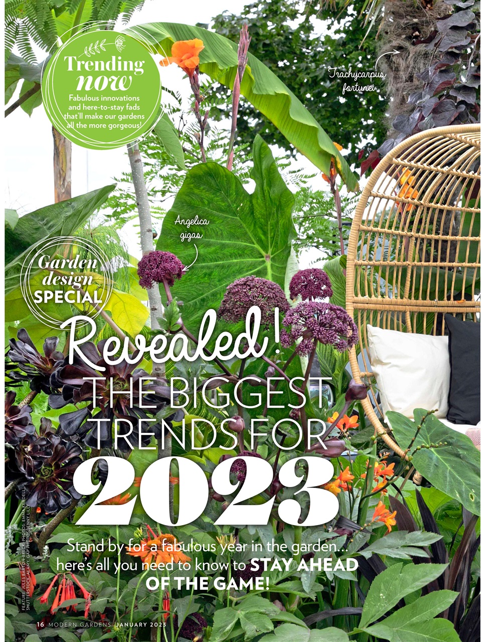Modern Gardens Preview Pages