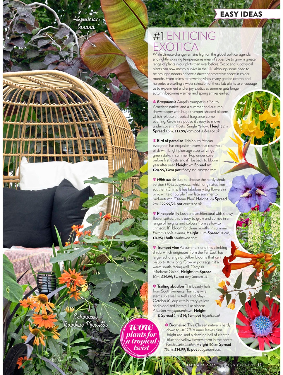 Modern Gardens Preview Pages