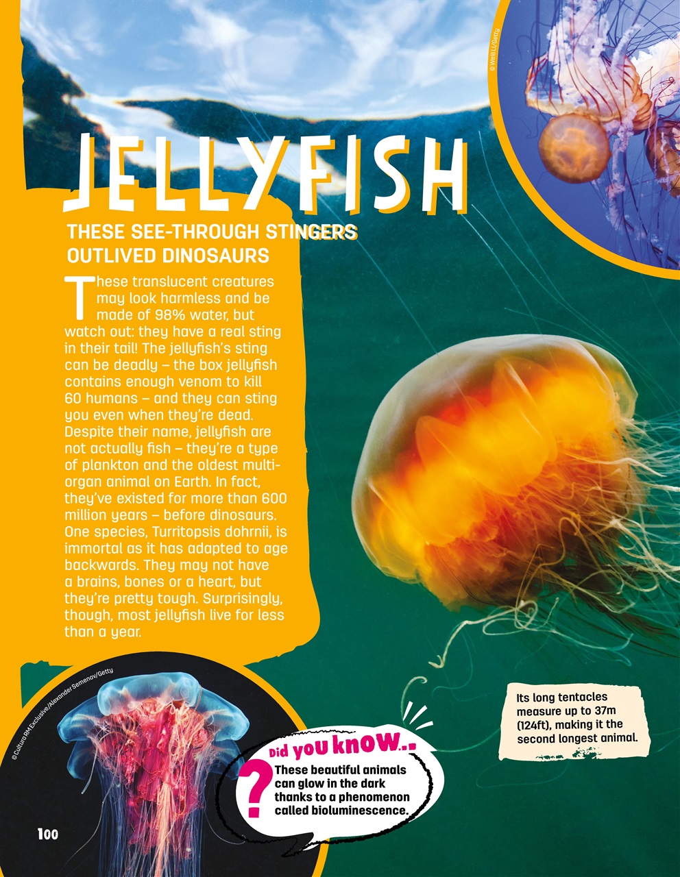 Creative Bookazine Preview Pages
