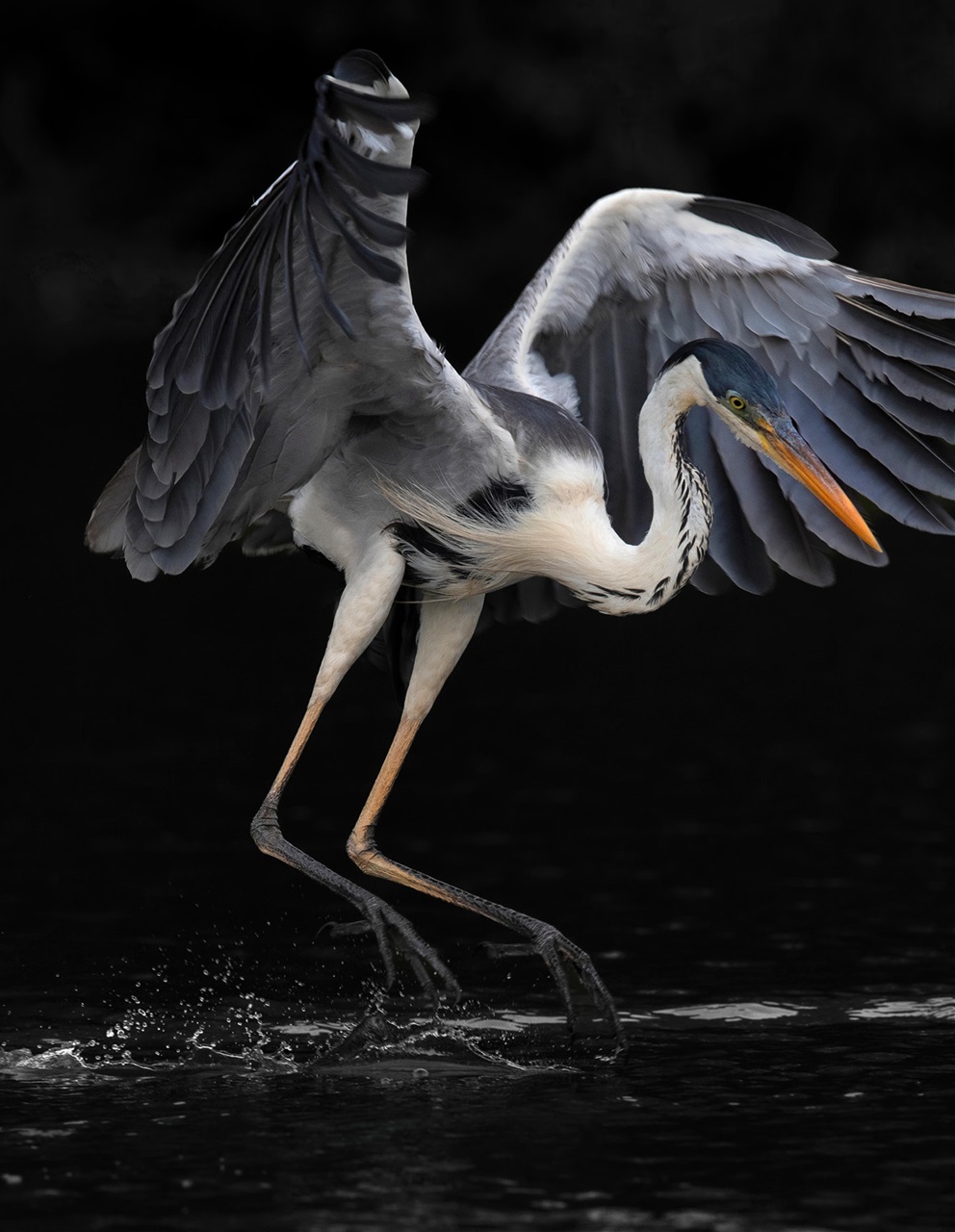 Signature Luxury Travel & Style Preview Pages