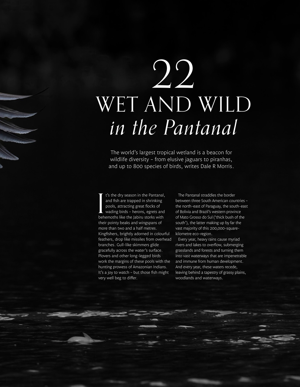 Signature Luxury Travel & Style Preview Pages