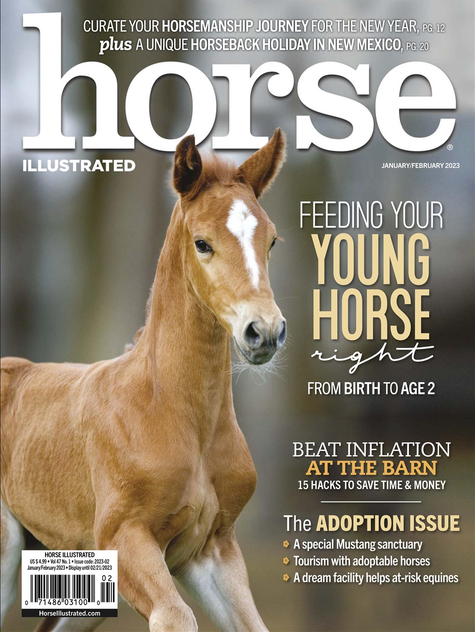Horse Illustrated Magazine Preview Pages