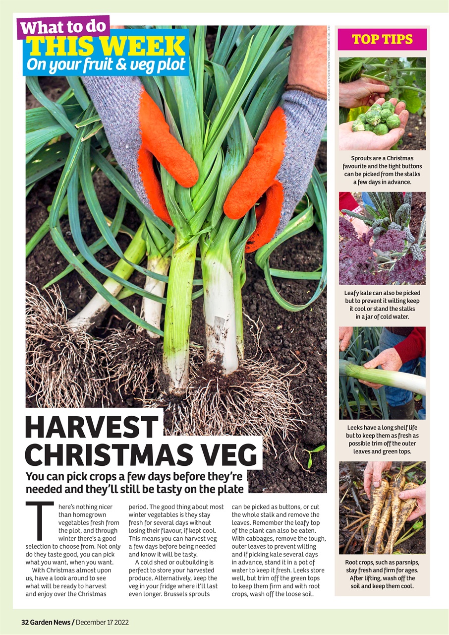 Garden News Preview Pages