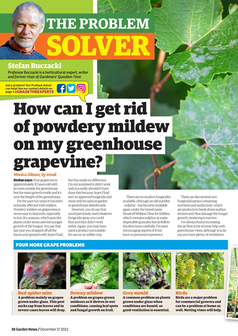 Garden News Preview Pages