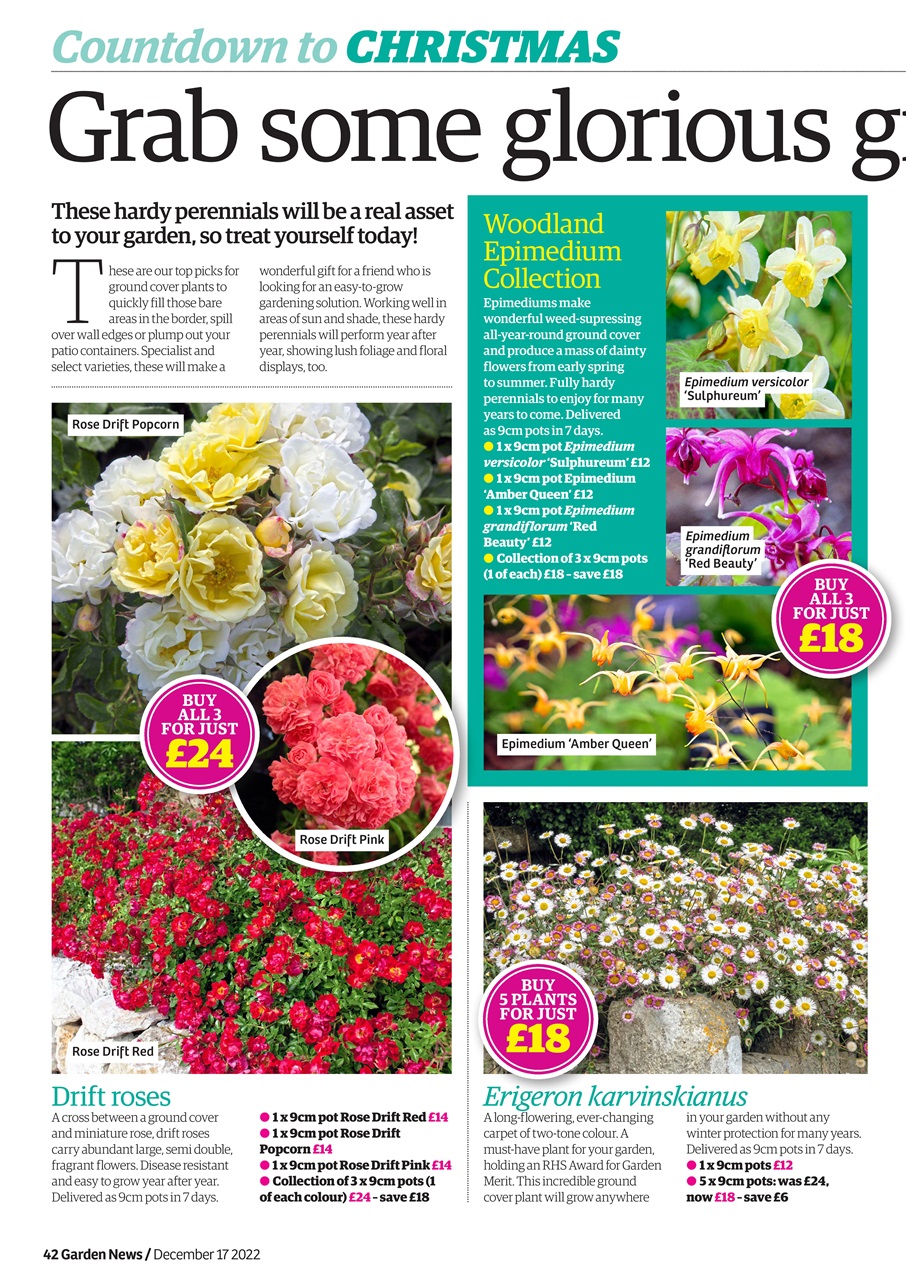Garden News Preview Pages