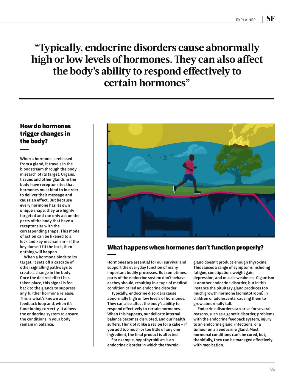 Bbc Science Focus Magazine New Year 2022 Back Issue