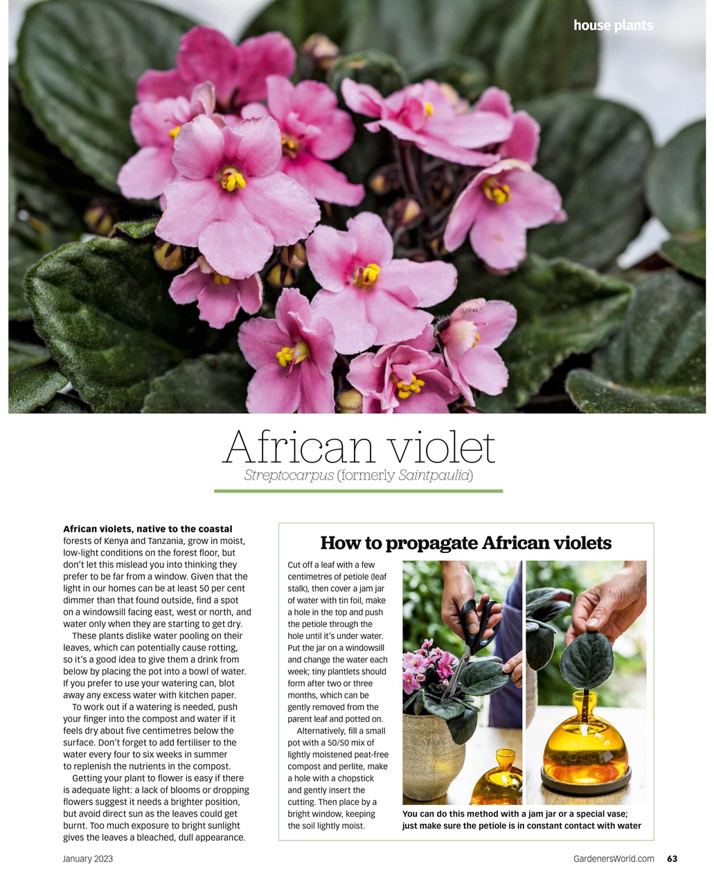 BBC Gardeners’ World Magazine Preview Pages