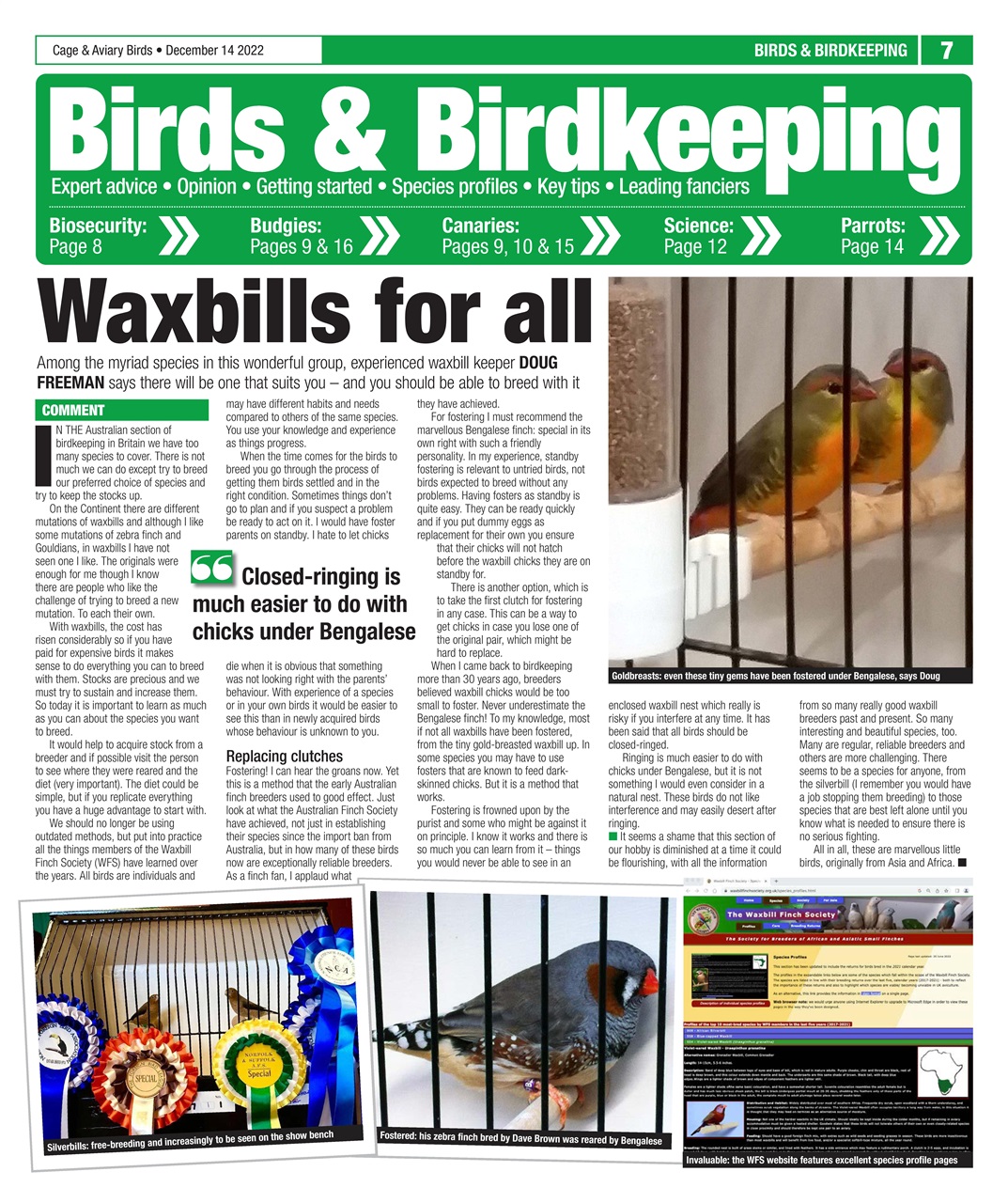 Cage & Aviary Birds Preview Pages