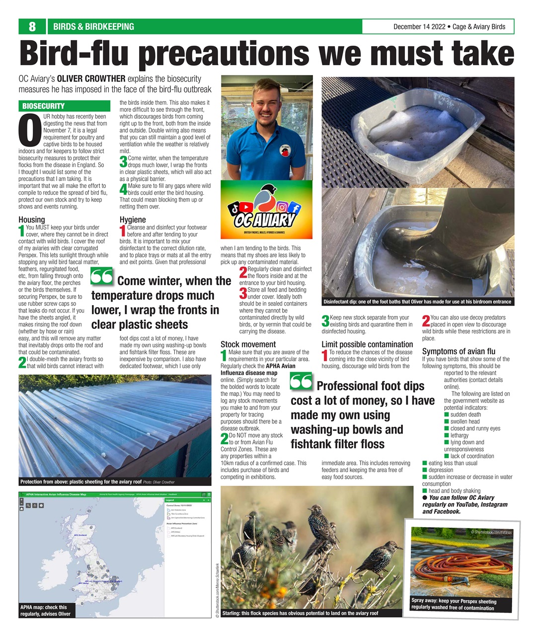 Cage & Aviary Birds Preview Pages