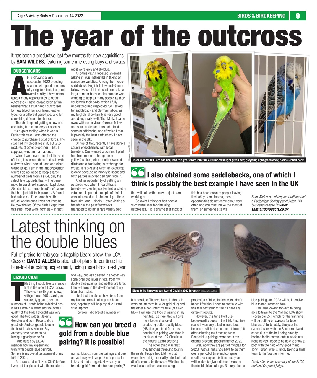 Cage & Aviary Birds Preview Pages