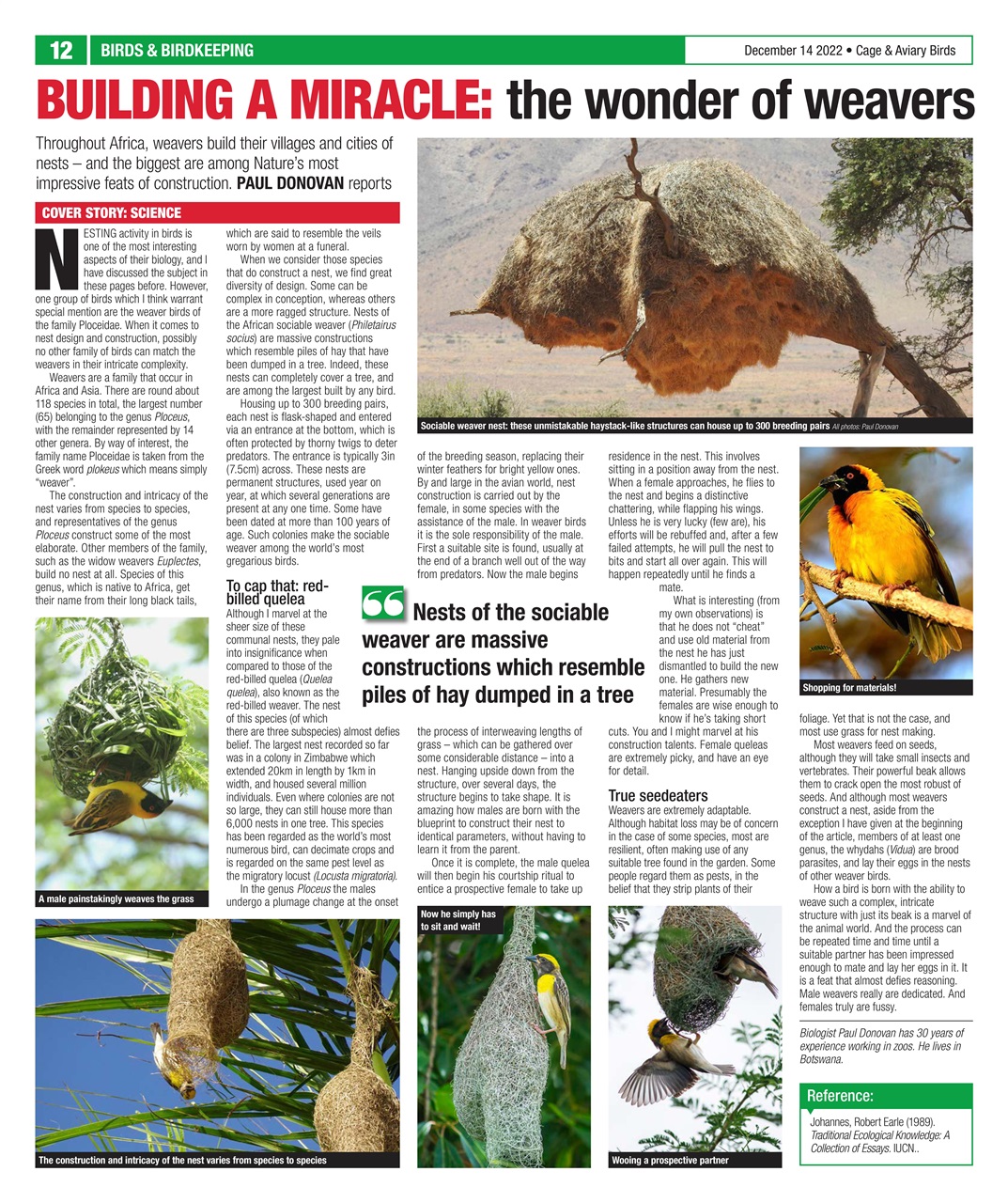 Cage & Aviary Birds Preview Pages